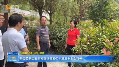 胡志芳到农村企业宣讲党的二十届三中全会精神