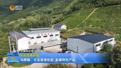【优化营商环境】马桥镇：立足资源优势  发展特色产业