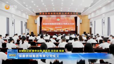 保康供销集团有限公司成立