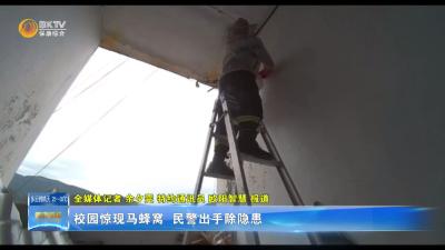 校园惊现马蜂窝  民警出手除隐患