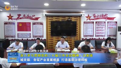 【深入学习贯彻党的二十届三中全会精神·大家谈】城关镇：夯实产业发展根基 打造基层治理样板