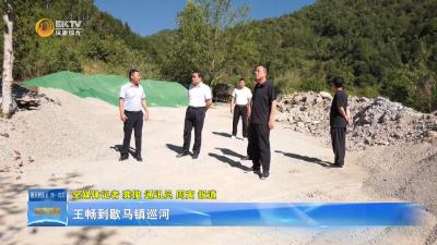 王畅到歇马镇巡河