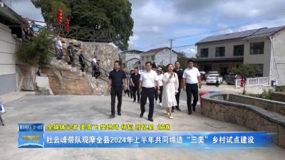 杜云峰带队观摩全县2024年上半年共同缔造“三美”乡村试点建设