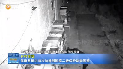 【乡村发现】保康县境内首次拍摄到国家二级保护动物黑熊