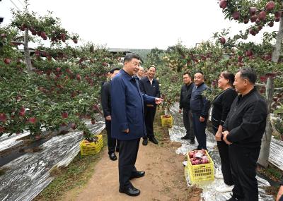 习近平在甘肃考察时强调 深化改革勇于创新苦干实干富民兴陇 奋力谱写中国式现代化甘肃篇章 途中在陕西宝鸡考察