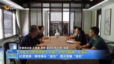 【深入学习贯彻党的二十届三中全会精神·大家谈】过渡湾镇：擦亮梅乡“底色”  提升发展“成色”