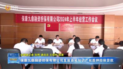 保康九鼎融资担保有限公司发放首笔知识产权质押担保贷款