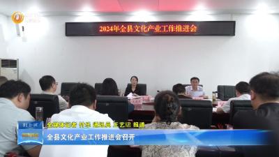 全县文化产业工作推进会召开