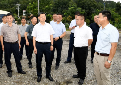 杜云峰现场踏勘第四次规委会拟审查项目