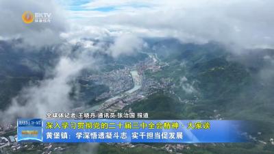 【深入学习贯彻党的二十届三中全会精神·大家谈】黄堡镇：学深悟透凝斗志 实干担当促发展