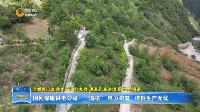国网保康供电公司：“满格” 电力护航   核桃生产无忧