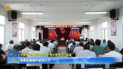 保康部署烟叶收购工作