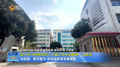 【深入学习贯彻党的二十届三中全会精神·大家谈】马良镇：善作善为善作善成 夯实高质量发展根基