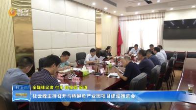 杜云峰主持召开马桥鲟鱼产业园项目建设推进会