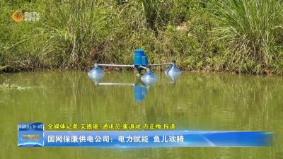 国网保康供电公司：电力赋能 鱼儿欢腾