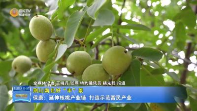 【荆山南北好“丰”景】保康：延伸核桃产业链  打造示范富民产业