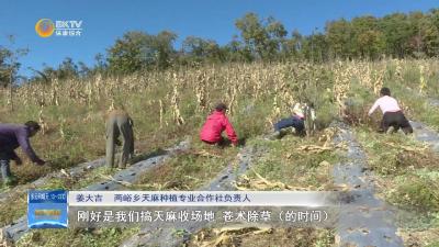 两峪乡：农闲人不闲 增收有妙招