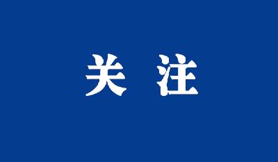 保康县各乡镇领导干部接待群众来访日程安排表时间（2024年11月1日至2024年11月30 日）