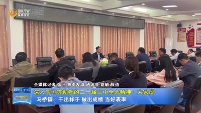 【深入学习贯彻党的二十届三中全会精神·大家谈】马桥镇：干出样子 做出成绩 当好表率