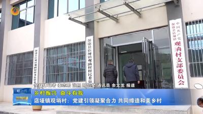 【乡村振兴 奋斗有我】店垭镇观埫村：党建引领凝聚合力 共同缔造和美乡村