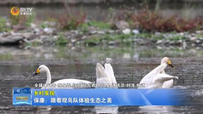 【乡村发现】保康：跟着观鸟队体验生态之美