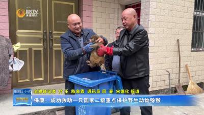 保康成功救助一只国家二级重点保护野生动物猕猴