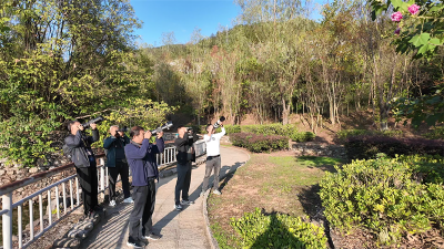 保康荆山观鸟队：记录天空精灵  传递护鸟之声