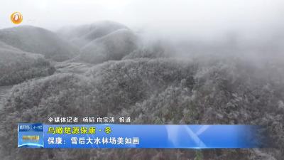 【鸟瞰楚源保康·冬】保康：雪后大水林场美如画