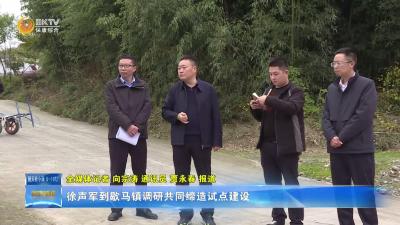 徐声军到歇马镇调研共同缔造试点建设