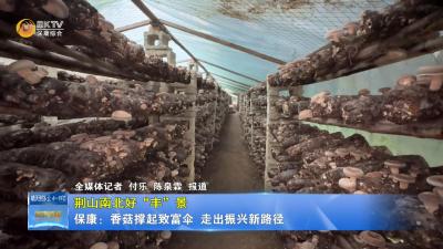 【荆山南北好“丰”景】保康：香菇撑起致富伞  走出振兴新路径