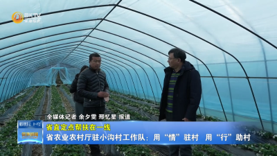 【省直定点帮扶在一线】省农业农村厅驻小沟村工作队：用“情”驻村 用“行”助村