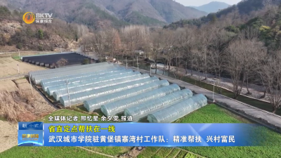 【省直定点帮扶在一线】武汉城市学院驻寨湾村工作队：精准帮扶 兴村富民