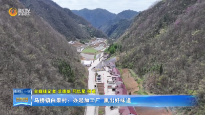 马桥镇白果村：办起加工厂 熏出好味道