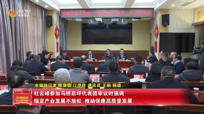 杜云峰参加马桥后坪代表团审议时强调：锚定产业发展不放松  推动保康高质量发展