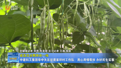 【省直定点帮扶在一线】中建科工集团华中大区驻庹家坪村工作队：用心用情帮扶 办好民生实事