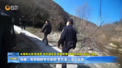 保康：秃鹫翅膀受伤被困 警民爱心接力救助