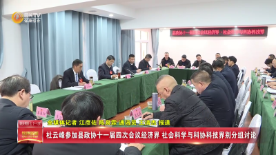 杜云峰参加县政协十一届四次会议经济界、社会科学与科协科技界别分组讨论