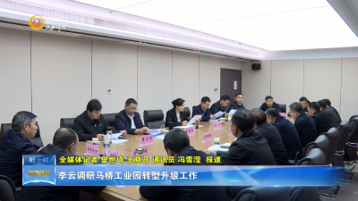 李云调研马桥工业园转型升级工作