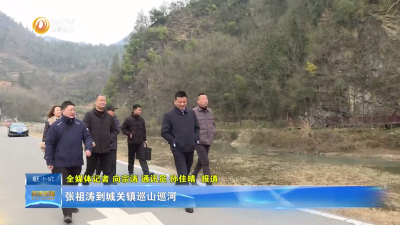 张祖涛到城关镇巡山巡河