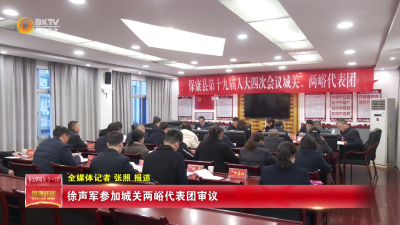 徐声军参加城关两峪代表团审议