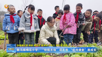 歇马镇梅花小学：“校园农场”迎丰收  “田间课堂”助成长
