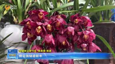 鲜花俏销迎新年