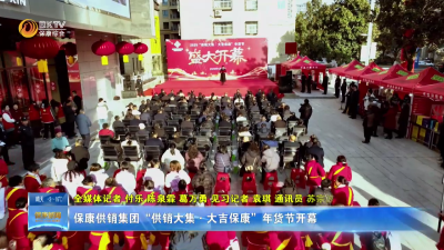 保康供销集团“供销大集•大吉保康”年货节开幕