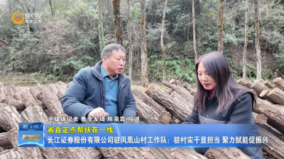 【省直定点帮扶在一线】长江证券股份有限公司驻凤凰山村工作队：驻村实干显担当  聚力赋能促振兴