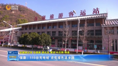 保康：115台充电桩 点亮绿色返乡路