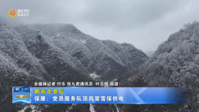 【新春走基层】保康：党员服务队顶风冒雪保供电