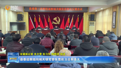 县委巡察组向城关镇党委反馈政治巡察情况