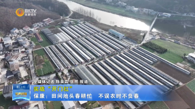 【实战“开门红”】保康：田间地头春耕忙   不误农时不负春