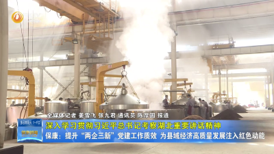 【深入学习贯彻习近平总书记考察湖北重要讲话精神】保康：提升“两企三新”党建工作质效 为县域经济高质量发展注入红色动能