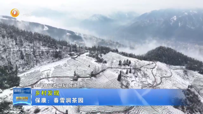【乡村发现】保康：春雪润茶园+片尾